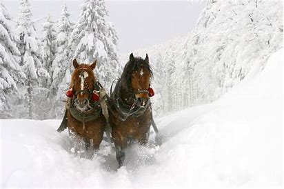 Winter Fun for Families Beyond Skiing