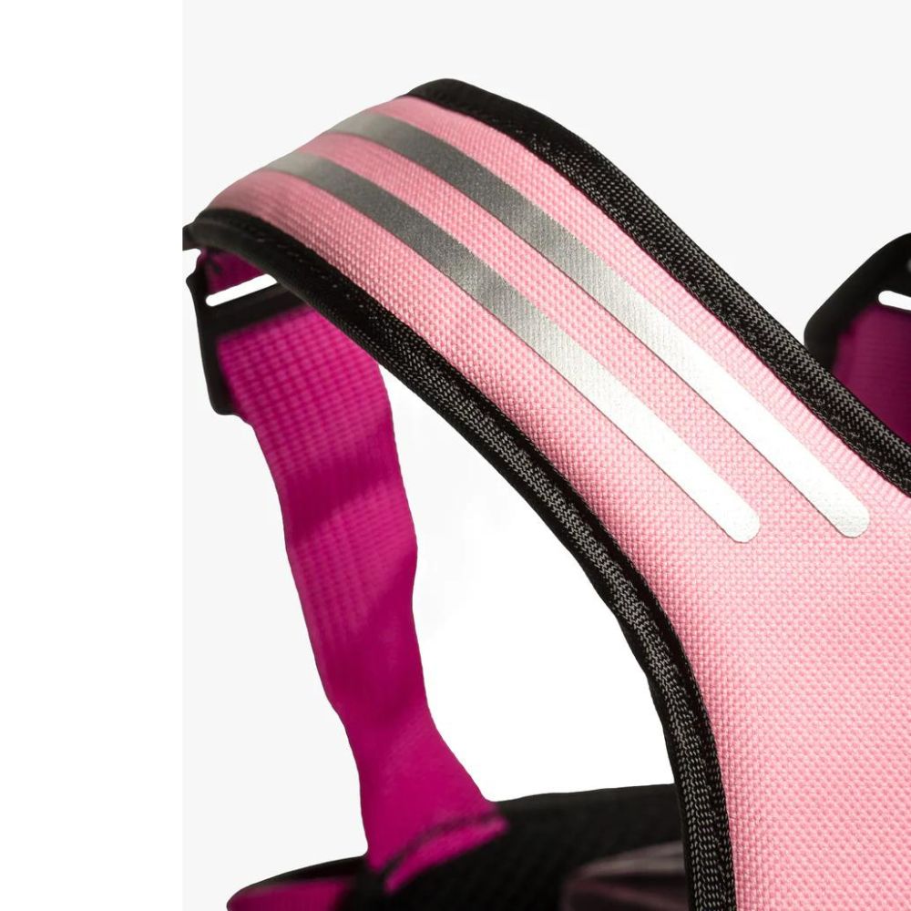 Hobbledehoo 3 Ski Harness Pink