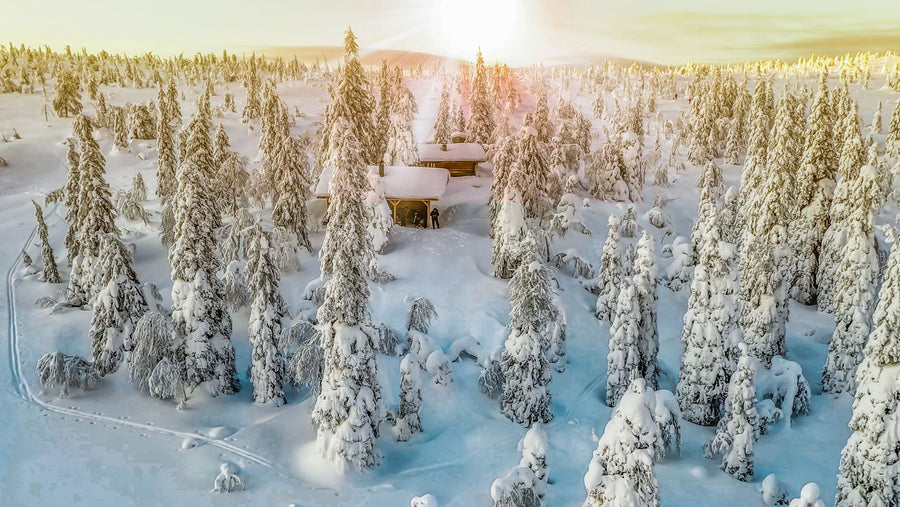 Lapland for Christmas?