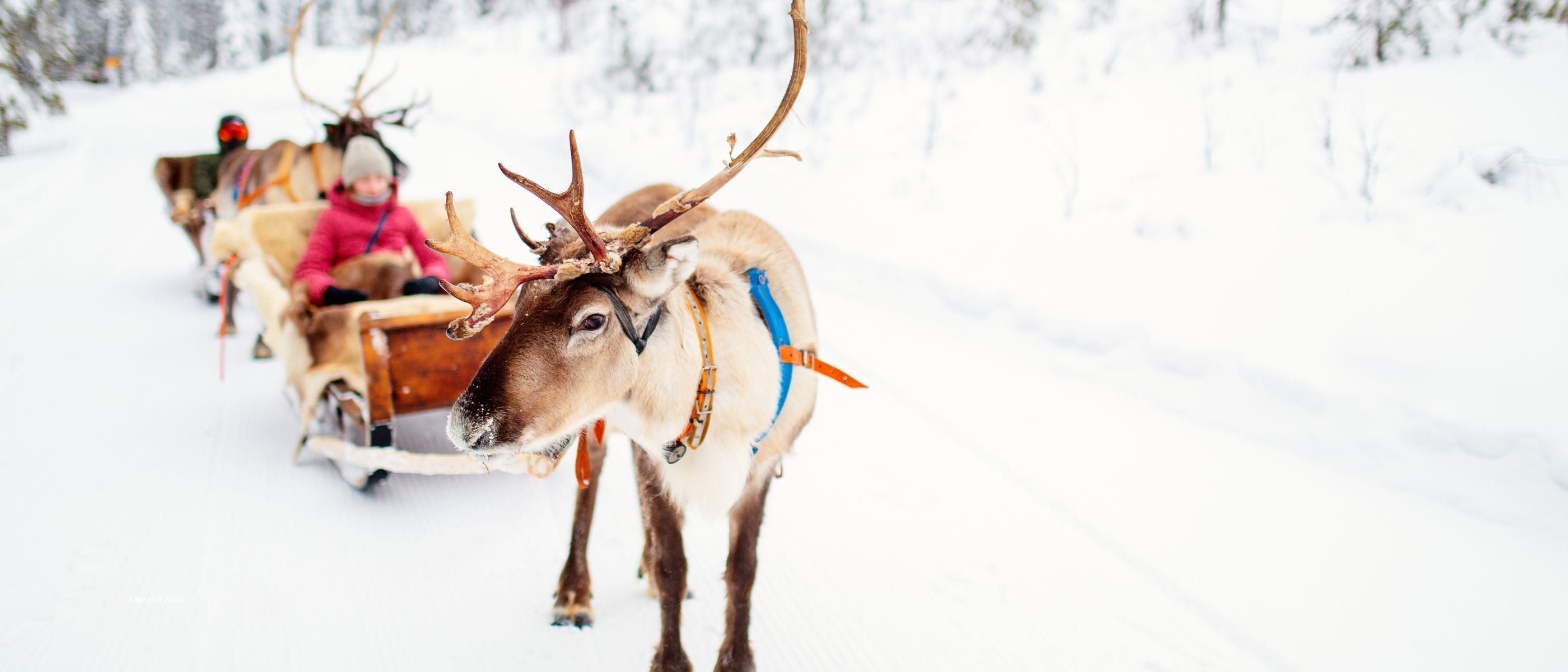 What to pack for lapland