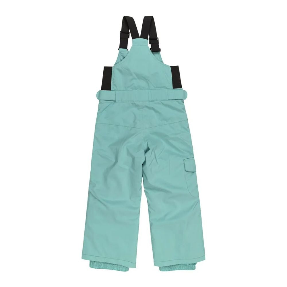 Roxy ski bib discount