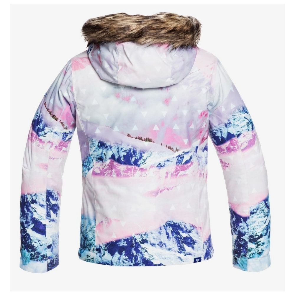 Roxy jet on sale ski se jacket
